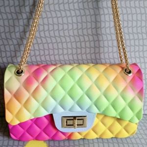 Large Designer Multicolor Ombre Diamond Quilted Jelly Shoulderbags